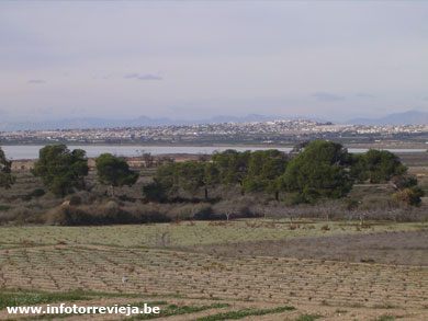 Torrevieja - Salinas de La Mata
